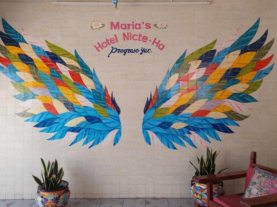 Hotel Maria'S Nicte Ha Progreso  Dış mekan fotoğraf