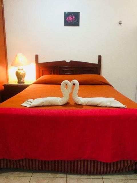 Hotel Maria'S Nicte Ha Progreso  Dış mekan fotoğraf